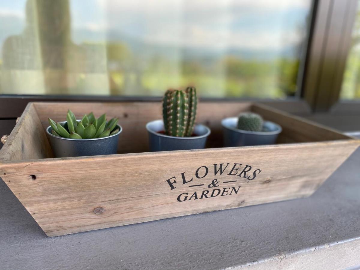 Flowers & Garden Apartment Con Vista Lago Manerba del Garda Εξωτερικό φωτογραφία